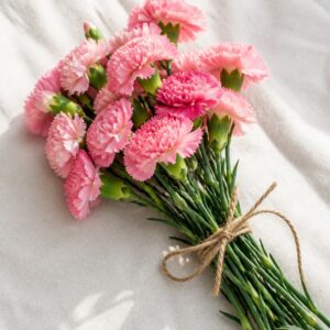 Kunming Carnations